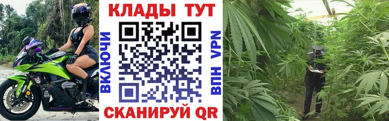 Купить наркотик Почеп Псилоцибиновые грибы  МЕФ  ГАШИШ  Бошки Шишки  КОКАИН  Альфа ПВП 
