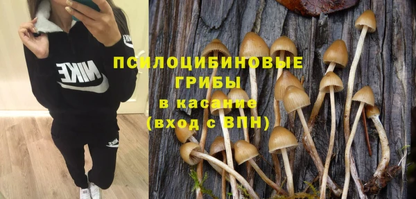 гашик Абинск