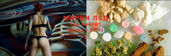 гашик Абинск